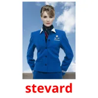 stevard picture flashcards