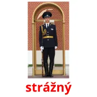 strážný picture flashcards