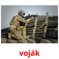 voják picture flashcards