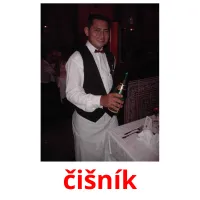 čišník picture flashcards