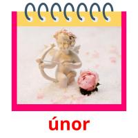 únor picture flashcards