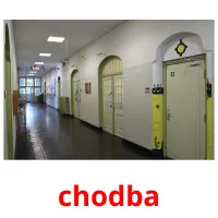 chodba Tarjetas didacticas