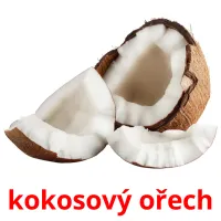 kokosový ořech Tarjetas didacticas