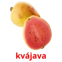 kvájava Tarjetas didacticas