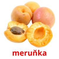meruňka card for translate