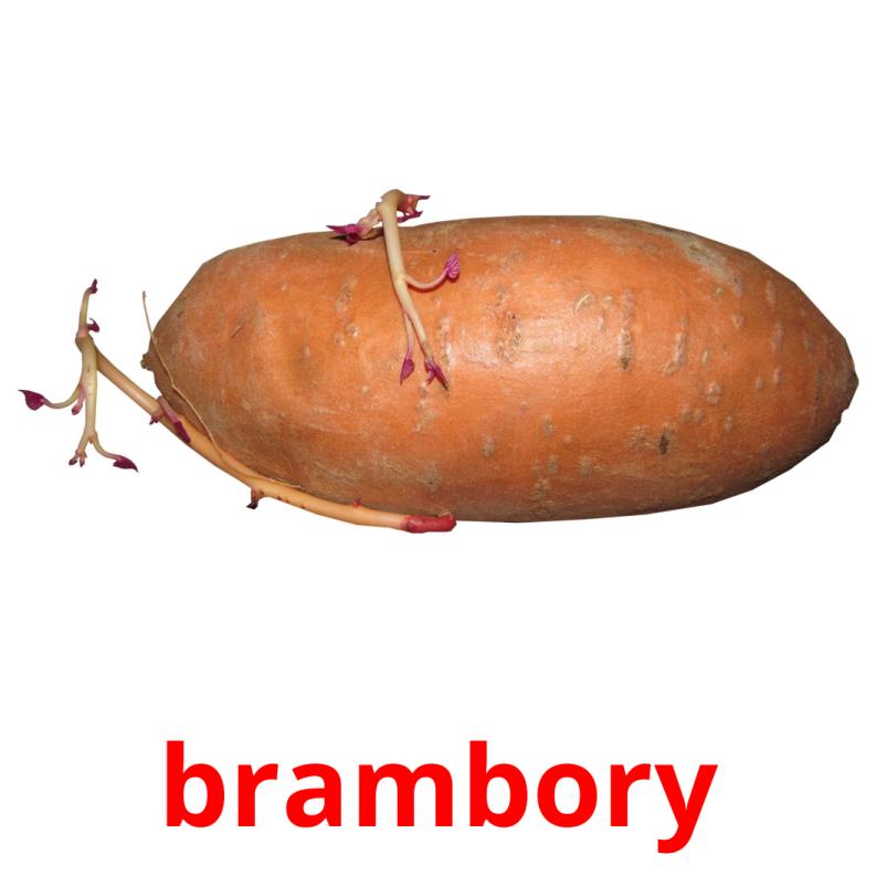 brambory picture flashcards