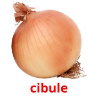cibule card for translate
