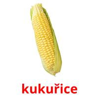 kukuřice picture flashcards