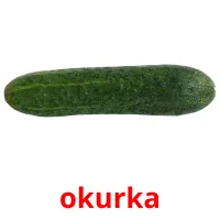 okurka Bildkarteikarten