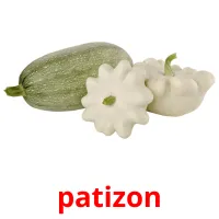 patizon Bildkarteikarten