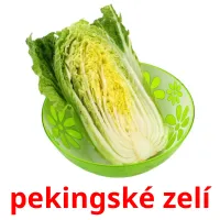 pekingské zelí Bildkarteikarten