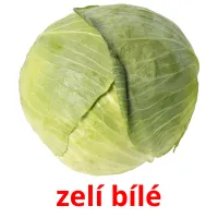 zelí bílé Bildkarteikarten