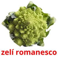 zelí romanesco Bildkarteikarten