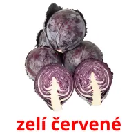 zelí červené Bildkarteikarten