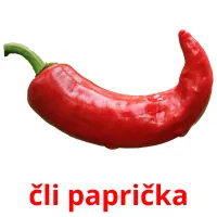 čli paprička Bildkarteikarten