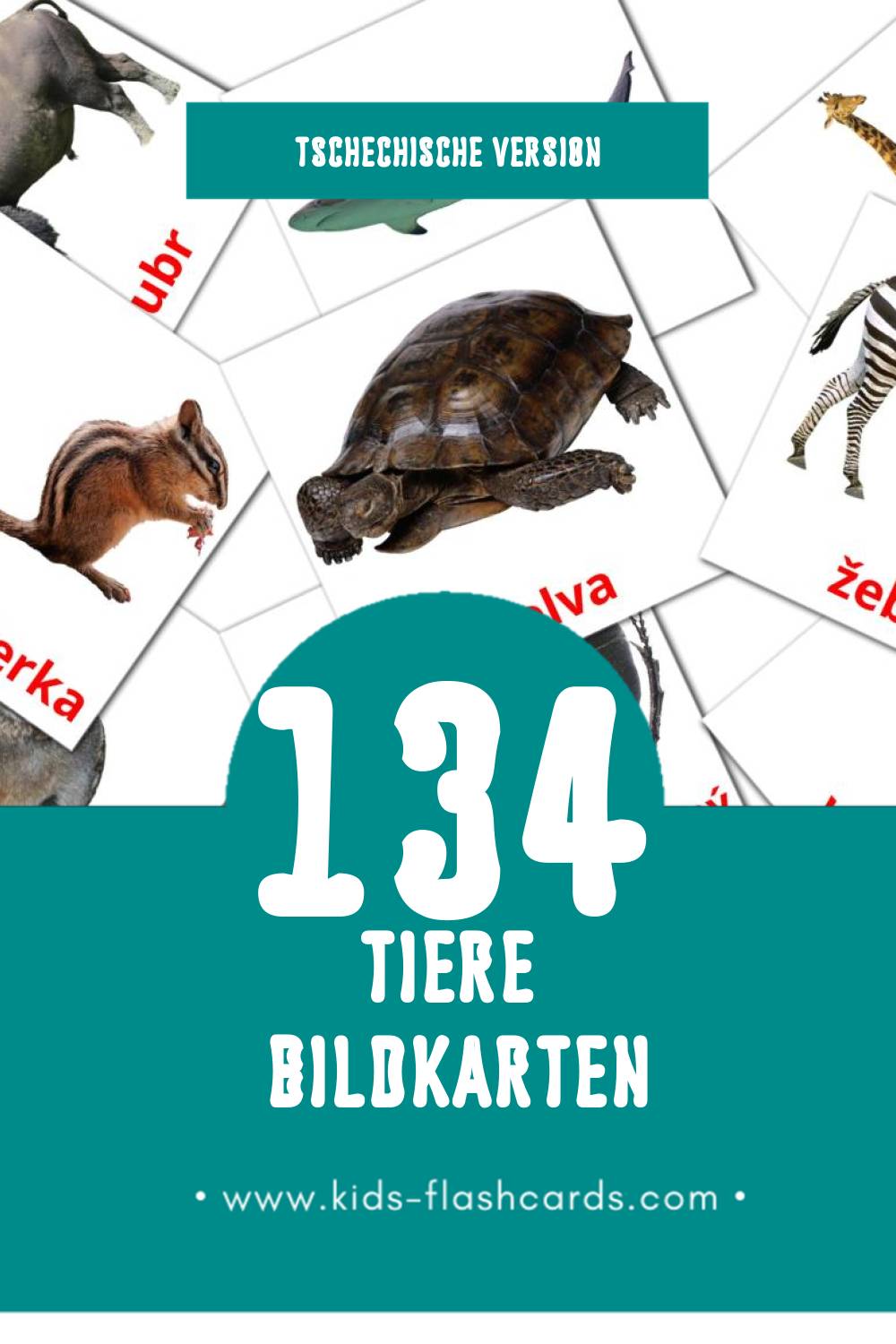Visual Zvířata Flashcards für Kleinkinder (120 Karten in Tschechisch)
