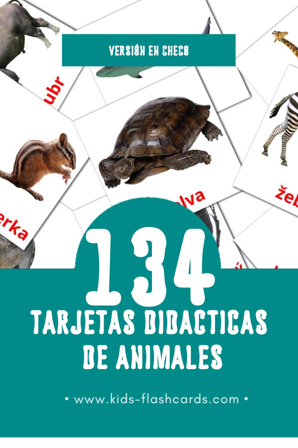 Tarjetas visuales de Zvířata para niños pequeños (120 tarjetas en Checo)