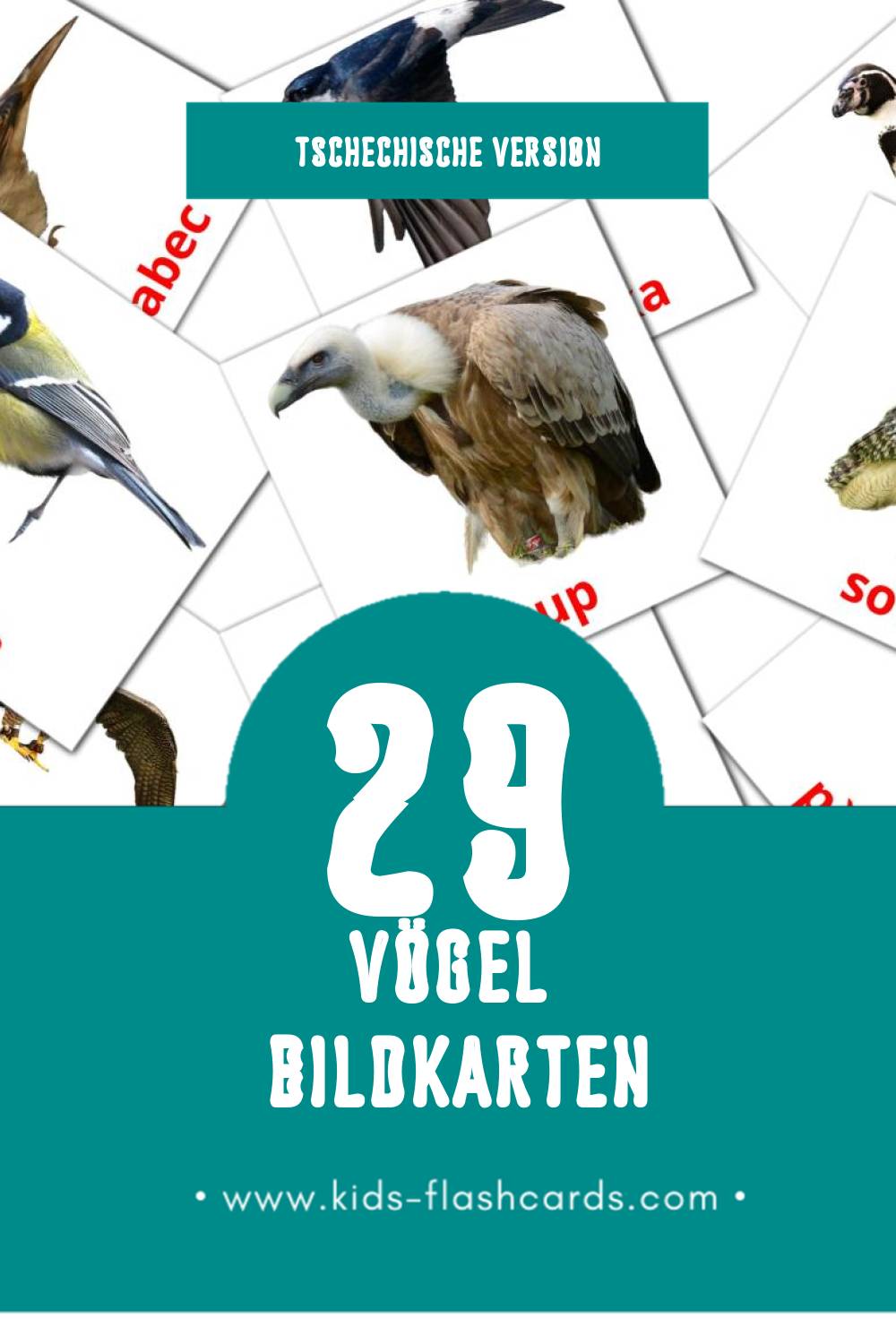 Visual Ptáci Flashcards für Kleinkinder (29 Karten in Tschechisch)