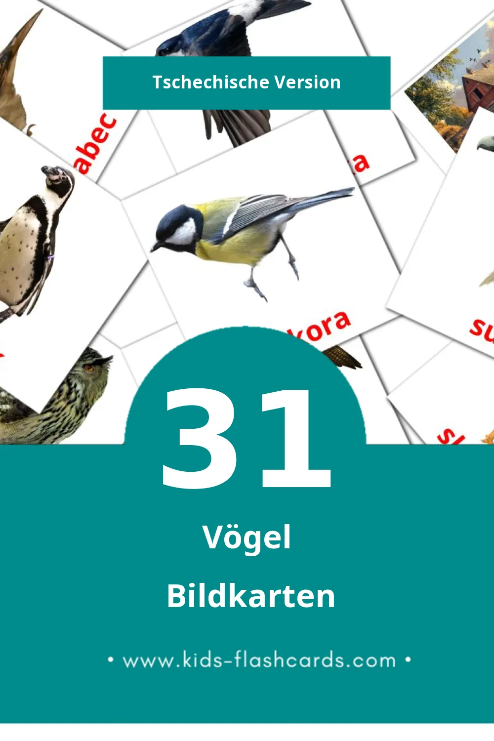 Visual Ptáci Flashcards für Kleinkinder (31 Karten in Tschechisch)