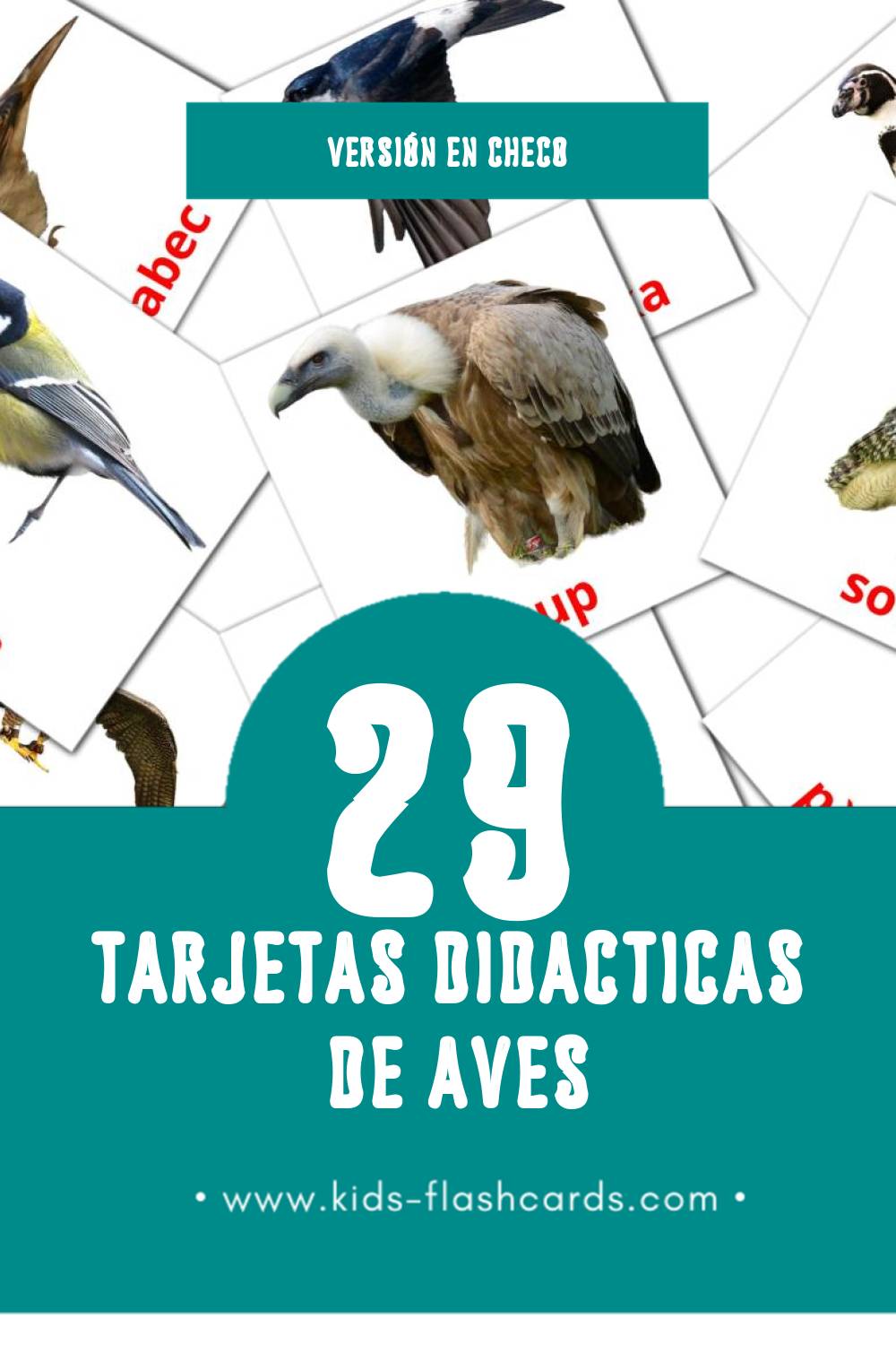 Tarjetas visuales de Ptáci para niños pequeños (29 tarjetas en Checo)