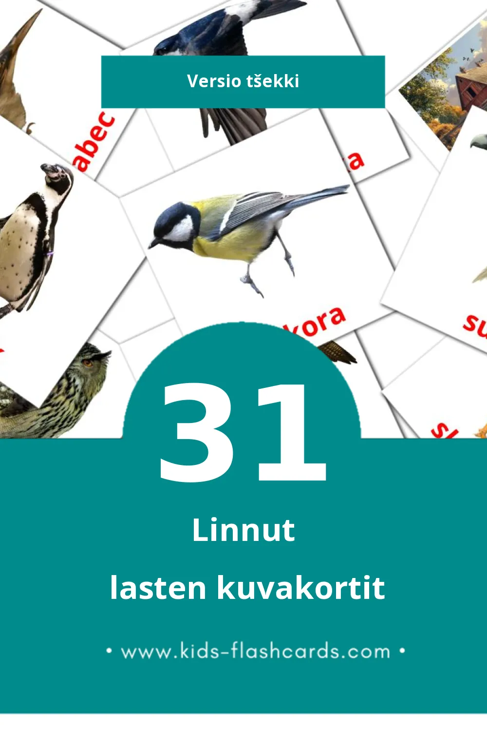 Ptáci lasten kuvakortit pikkulapsille (31 korttia Tšekkiksi)