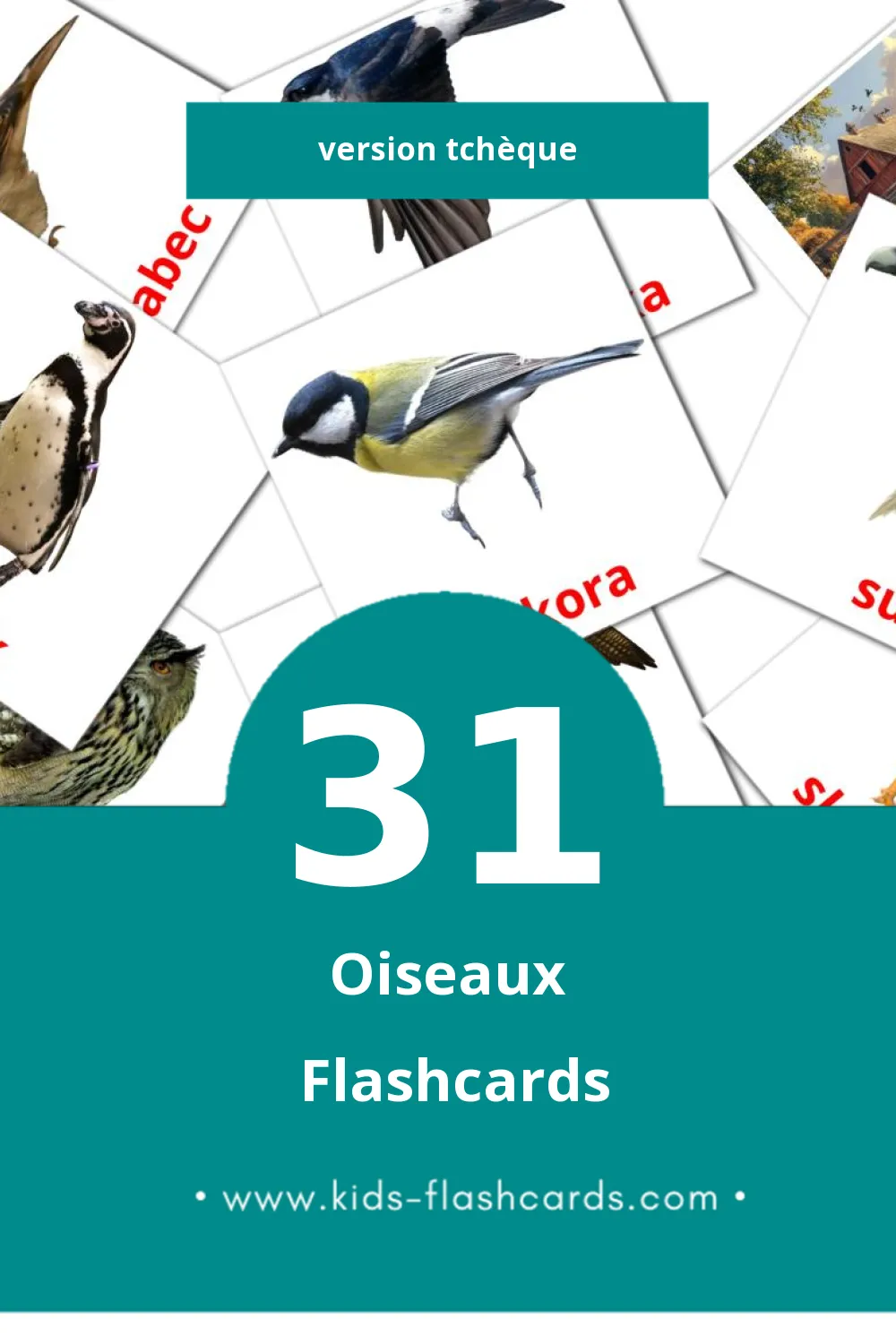 Flashcards Visual Ptáci pour les tout-petits (31 cartes en Tchèque)