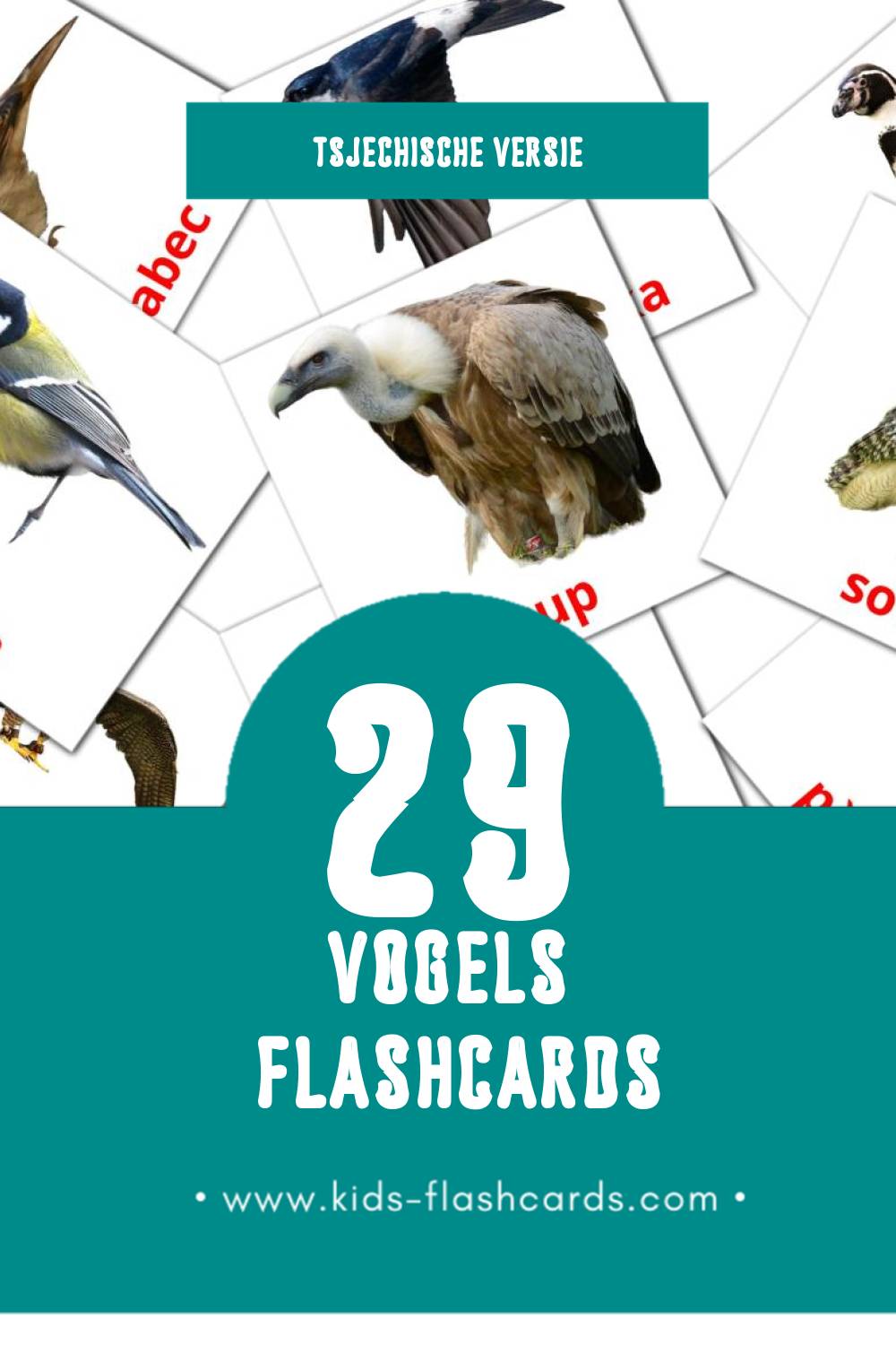 Visuele Ptáci Flashcards voor Kleuters (29 kaarten in het Tsjechisch)