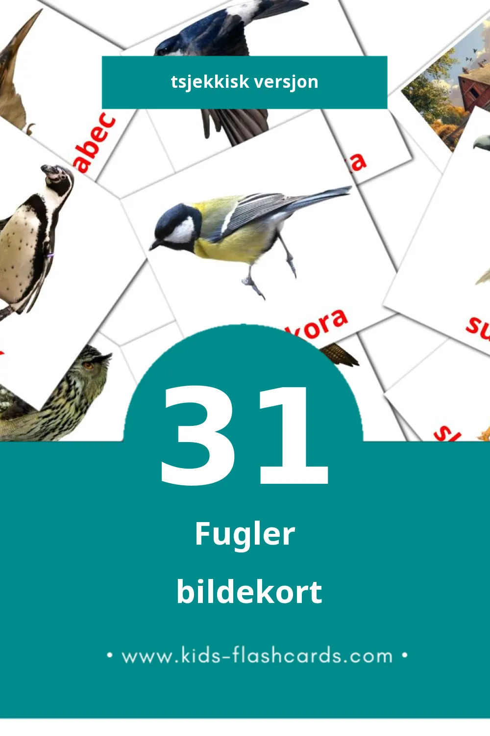 Visuelle Ptáci bildekort for småbarn (31 kort på Tsjekkisk)