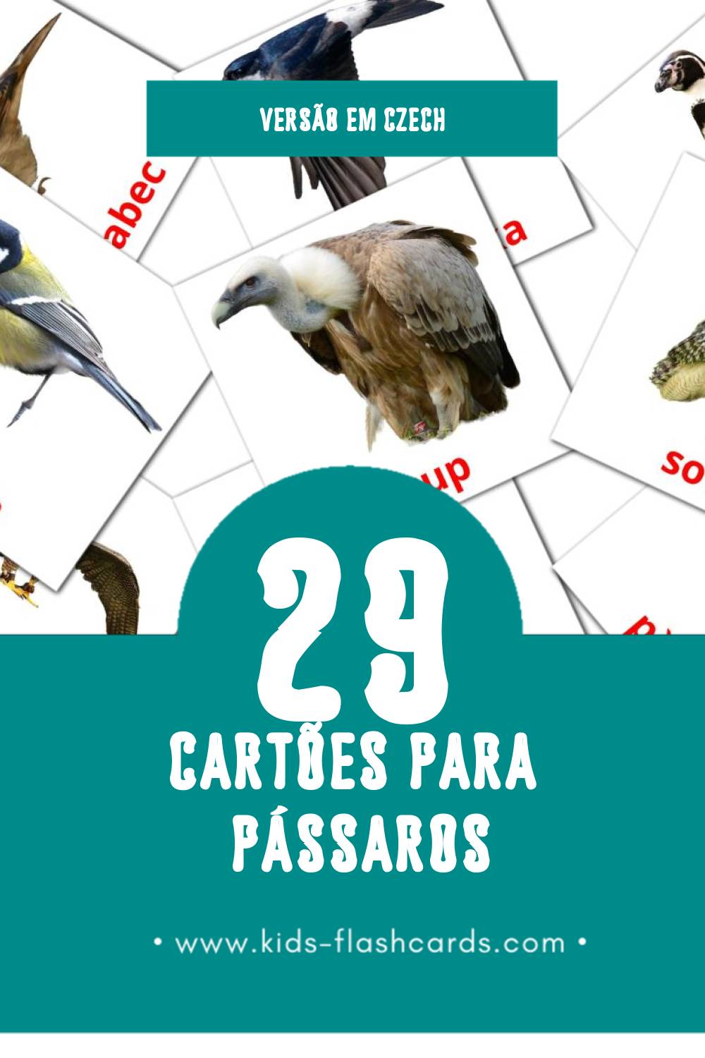Flashcards de Ptáci Visuais para Toddlers (29 cartões em Czech)