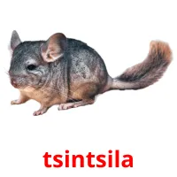 tsintsila flashcards illustrate