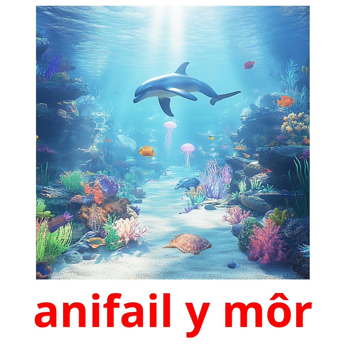 anifail y môr flashcards illustrate