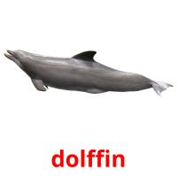dolffin picture flashcards