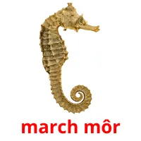 march môr flashcards illustrate