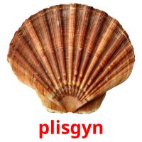 plisgyn picture flashcards
