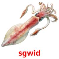 sgwid picture flashcards