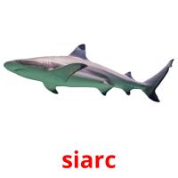 siarc picture flashcards