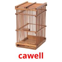 cawell picture flashcards