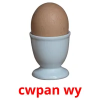 cwpan wy cartes de vocabulaire