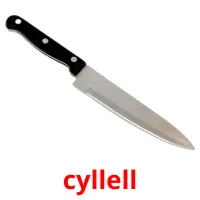 cyllell cartes de vocabulaire