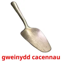 gweinydd cacennau cartes de vocabulaire