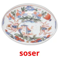 soser cartes de vocabulaire