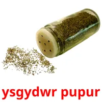 ysgydwr pupur cartes de vocabulaire