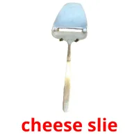 cheese slie flashcards illustrate