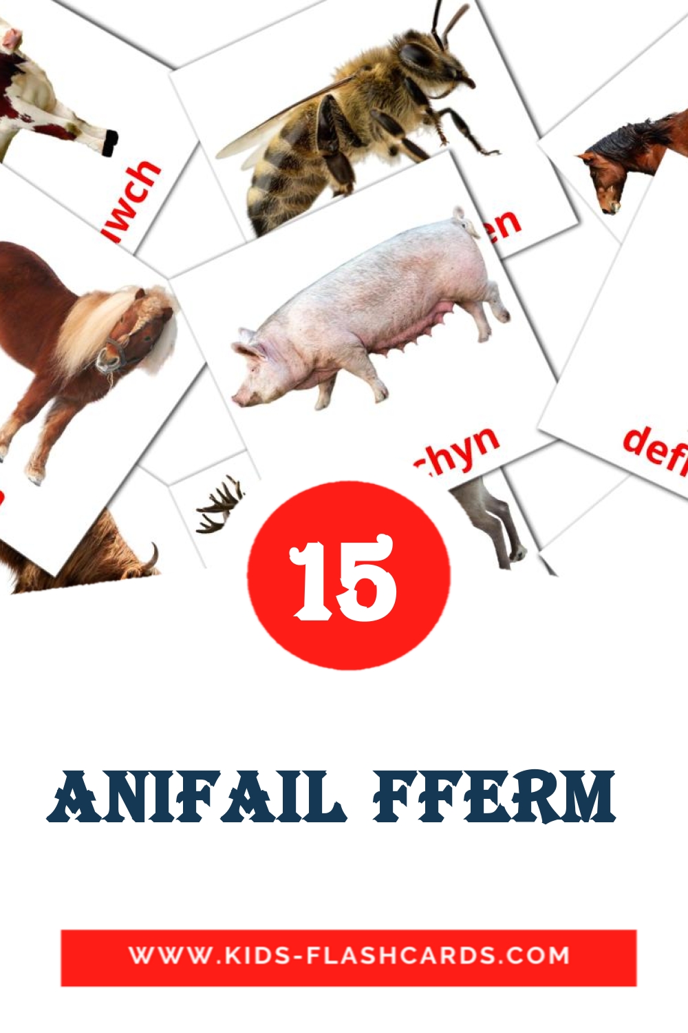 15 anifail fferm  Bildkarten für den Kindergarten auf Walisisch