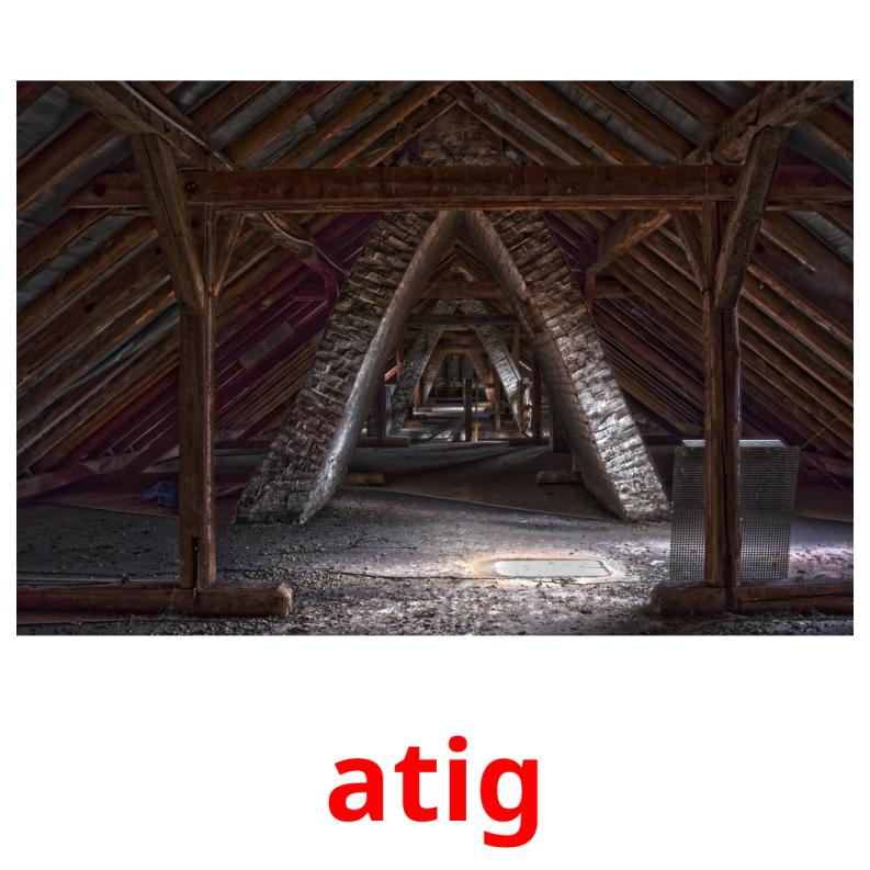 atig picture flashcards