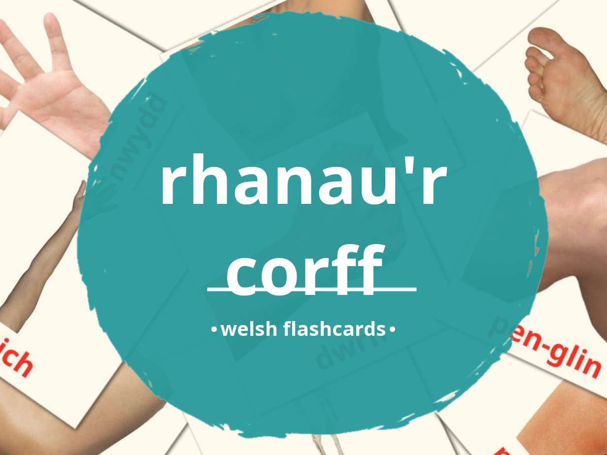 26 GRATIS Lichaamsdelen Flashcards In 4 PDF Formaten | Welsh Afbeeldingen