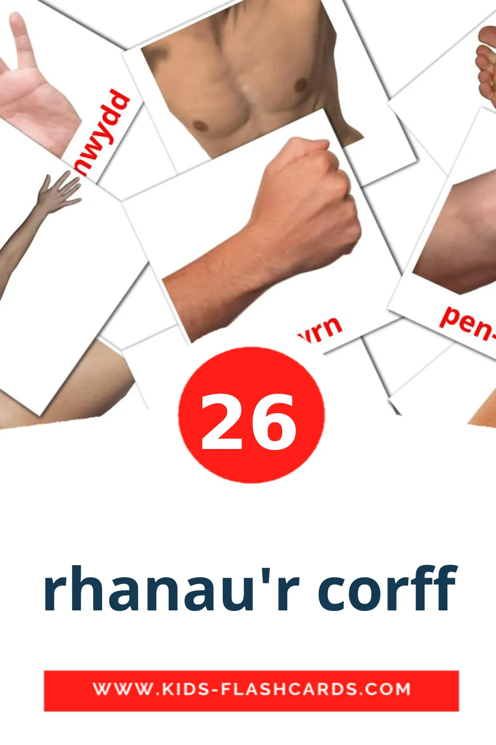 26 carte illustrate di rhanau'r corff per la scuola materna in gallese