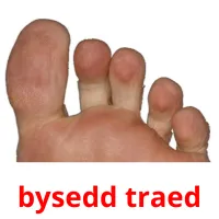 bysedd traed flashcards illustrate