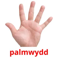 palmwydd flashcards illustrate