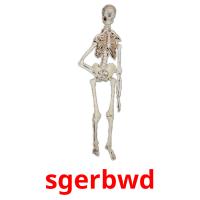 sgerbwd picture flashcards
